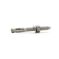 strike anchor bolt grade 8.8 hg m24 bolts dimensions m25 M10*100 1 inch x 7 inches anchor for concrete floor